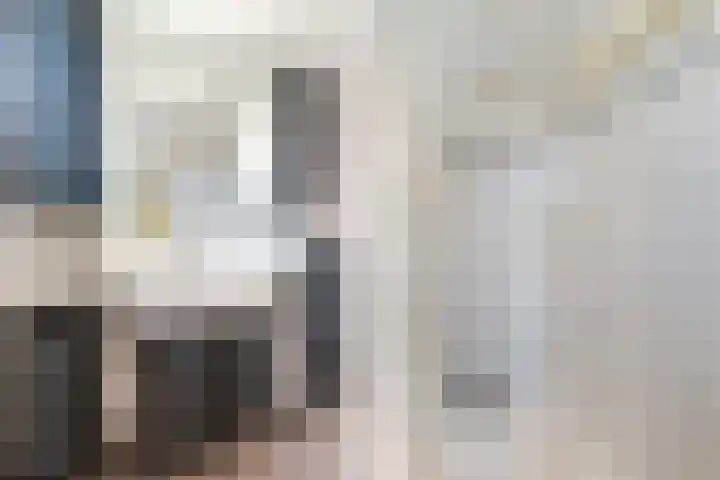 Kaagwerf 4 Gouda thumbnail 27