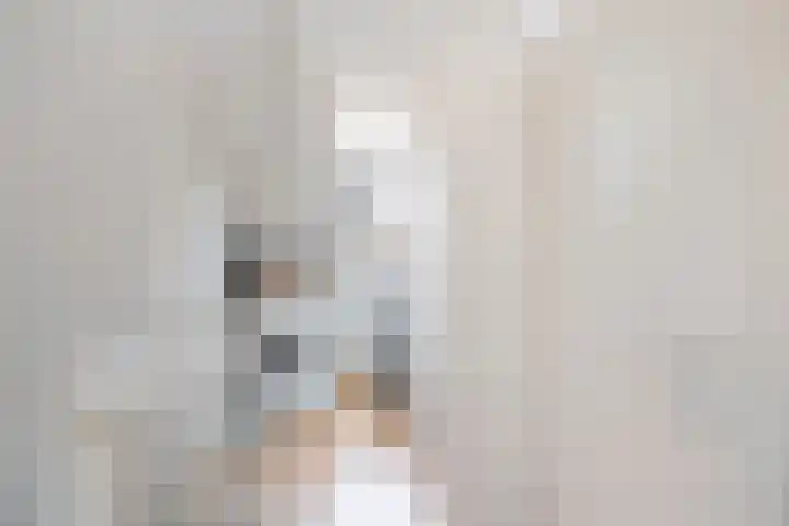 Kaagwerf 4 Gouda thumbnail 30