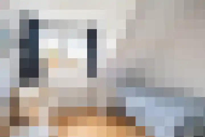 Kaagwerf 4 Gouda thumbnail 33