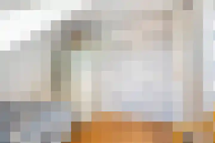 Kaagwerf 4 Gouda thumbnail 34