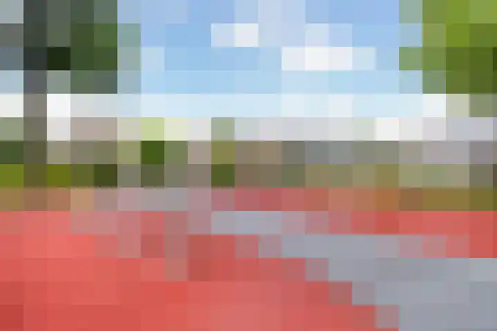 Kaagwerf 4 Gouda thumbnail 36
