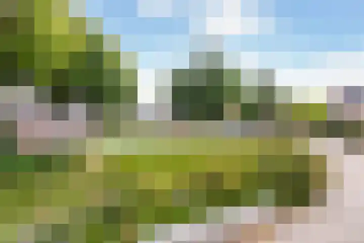 Kaagwerf 4 Gouda thumbnail 38