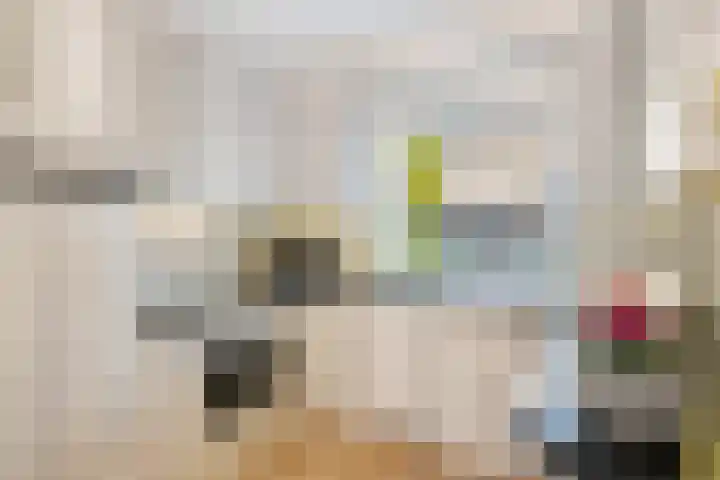 Kaagwerf 4 Gouda thumbnail 4