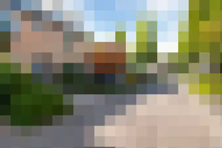 Kaagwerf 4 Gouda thumbnail 5