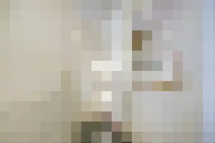 Kaai 13 Ooltgensplaat thumbnail 20