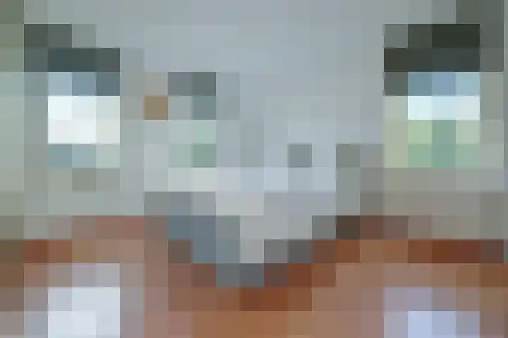 Kaai 13 Ooltgensplaat thumbnail 24