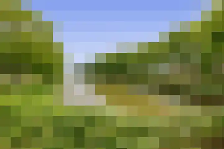 Kaai 17 Oude-Tonge thumbnail 32