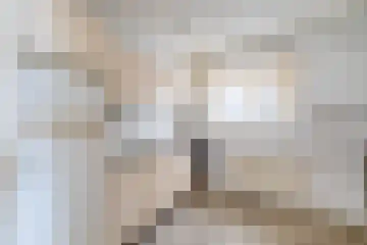 Kaai 17 Oude-Tonge thumbnail 8