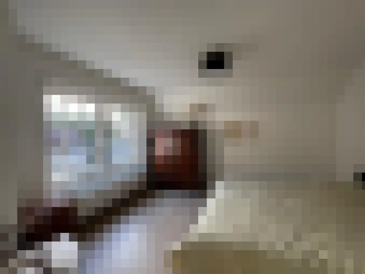 Kaai 29 Sluis thumbnail 14
