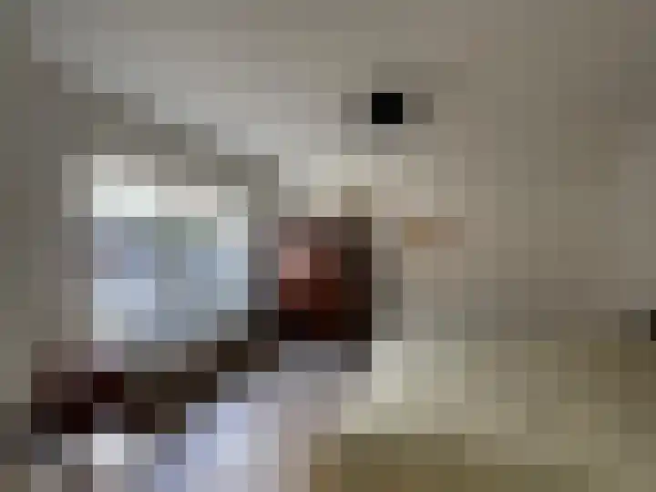 Kaai 29 Sluis thumbnail 14