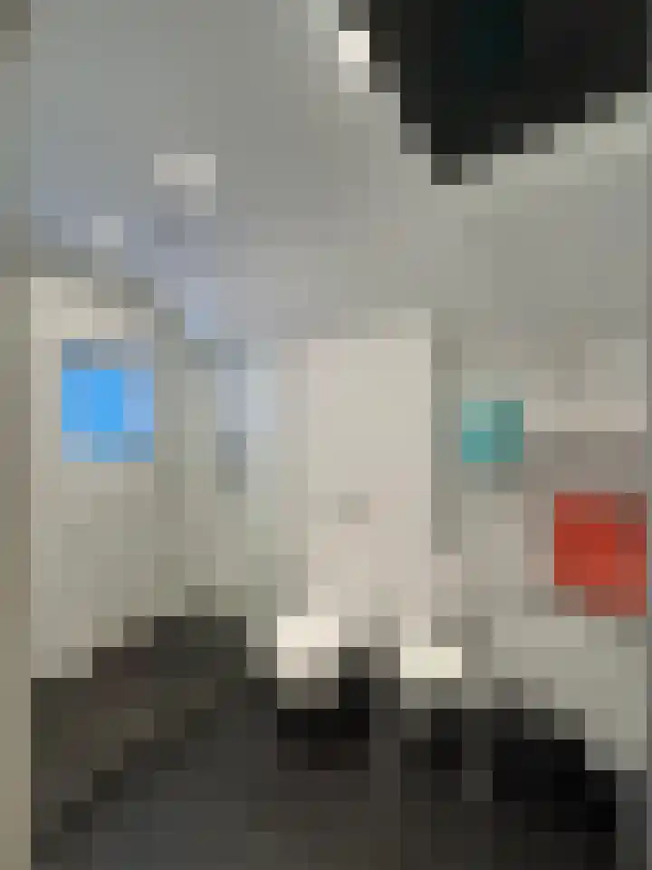 Kaai 29 Sluis thumbnail 16