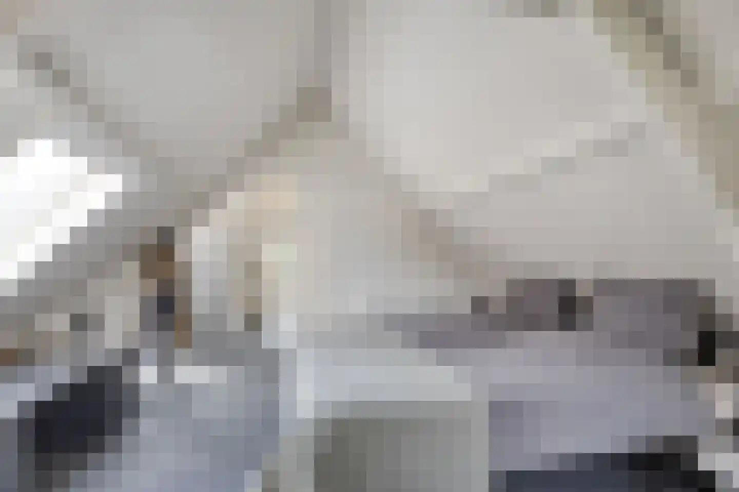 Kaai 49 Veere thumbnail 30