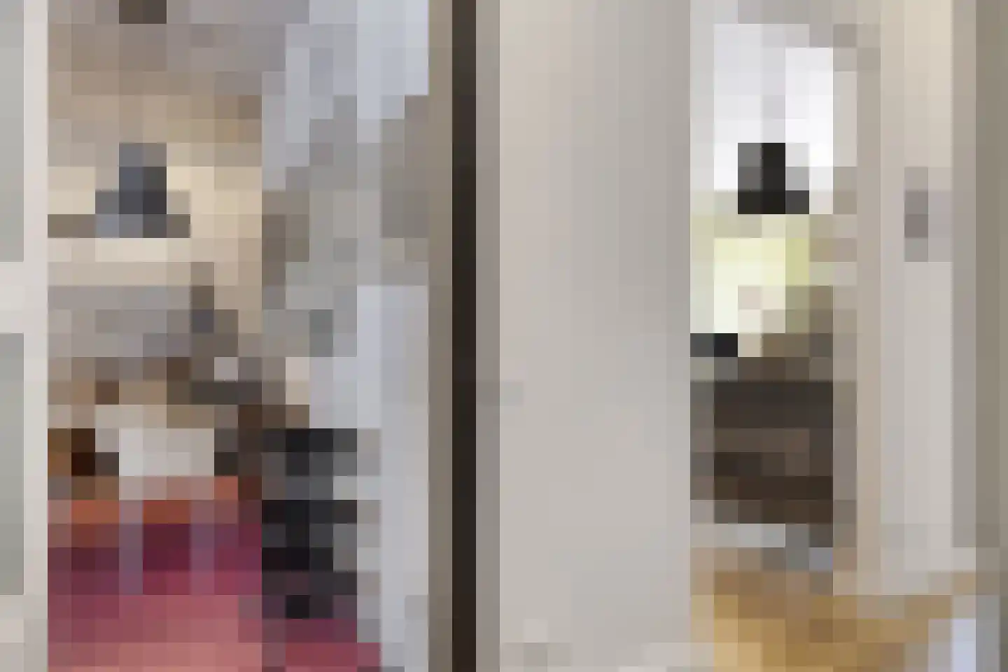 Kaai 49 Veere thumbnail 33