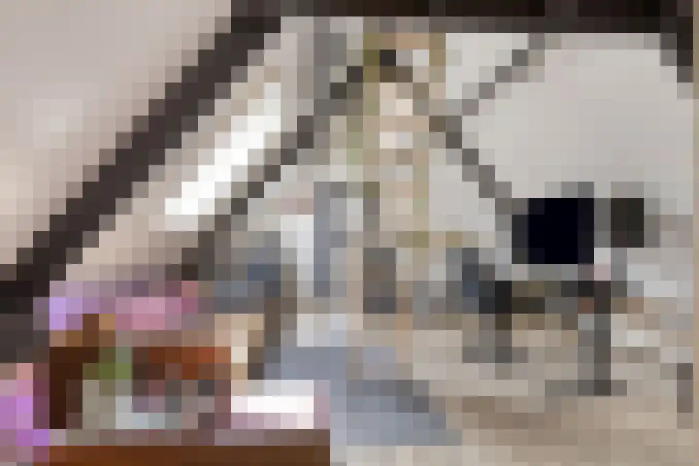 Kaai 49 Veere thumbnail 45