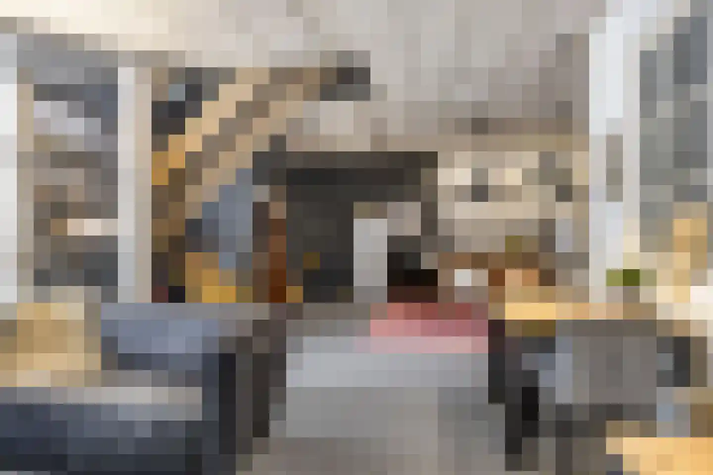 Kaai 49 Veere thumbnail 8
