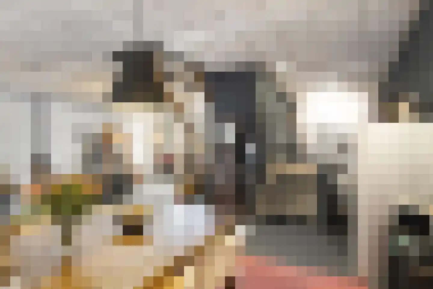 Kaai 49 Veere thumbnail 9