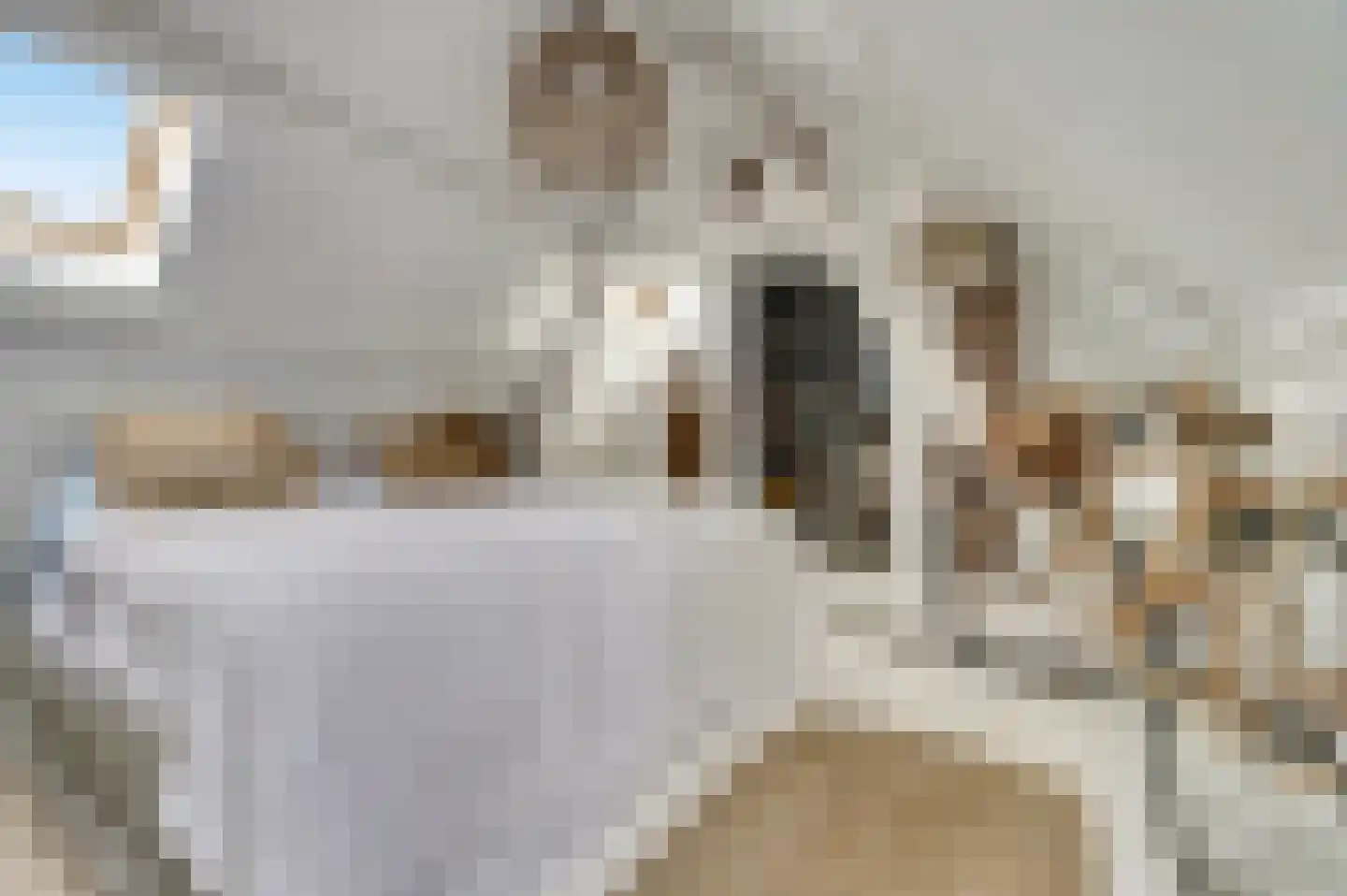 Kaai 5 Ooltgensplaat thumbnail 27