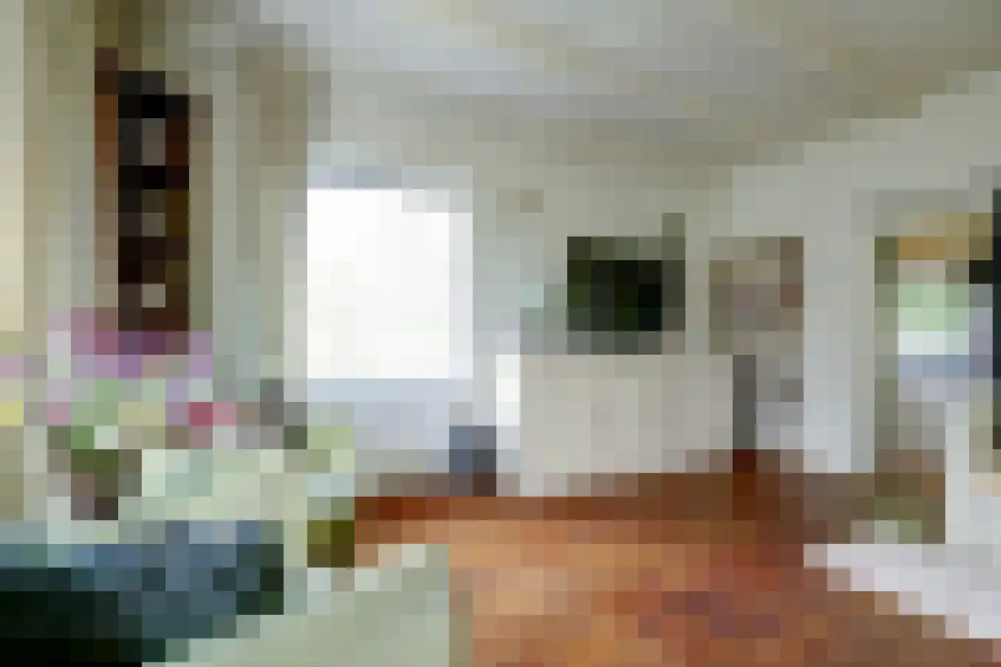 Kaaidijk 1 Wolphaartsdijk thumbnail 12