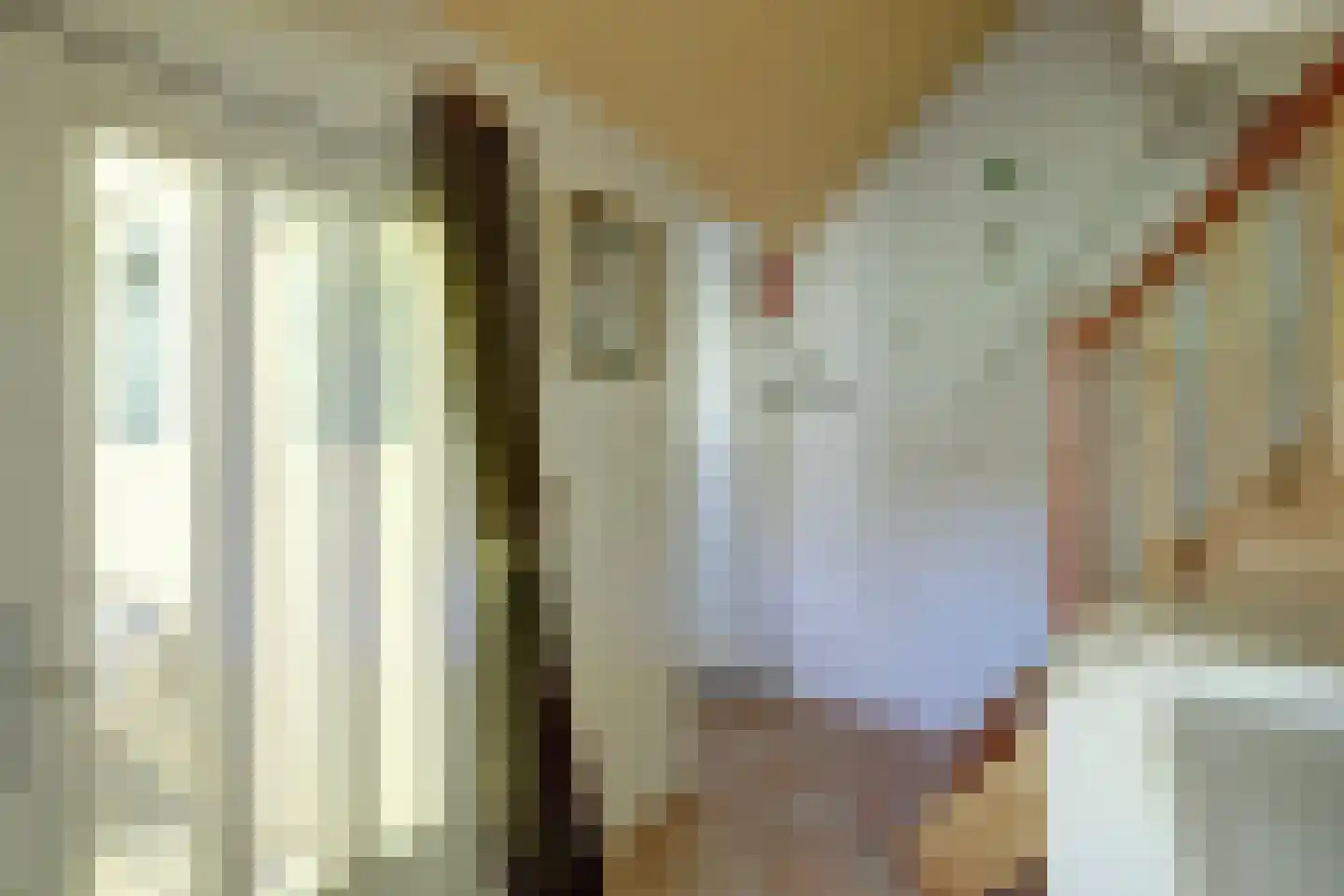 Kaaidijk 1 Wolphaartsdijk thumbnail 17