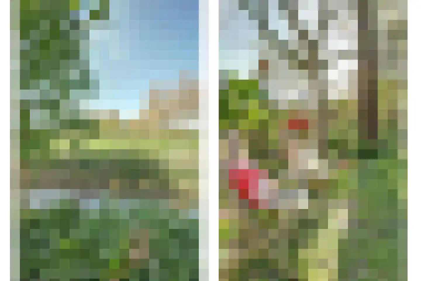 Kaaidijk 1 Wolphaartsdijk thumbnail 25
