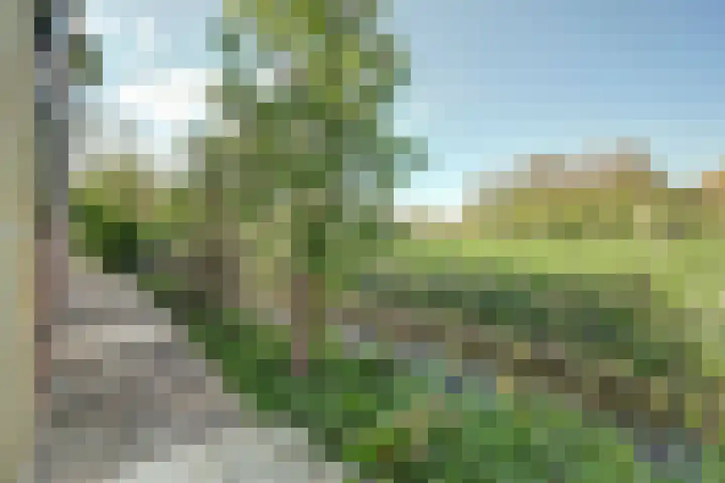 Kaaidijk 1 Wolphaartsdijk thumbnail 27