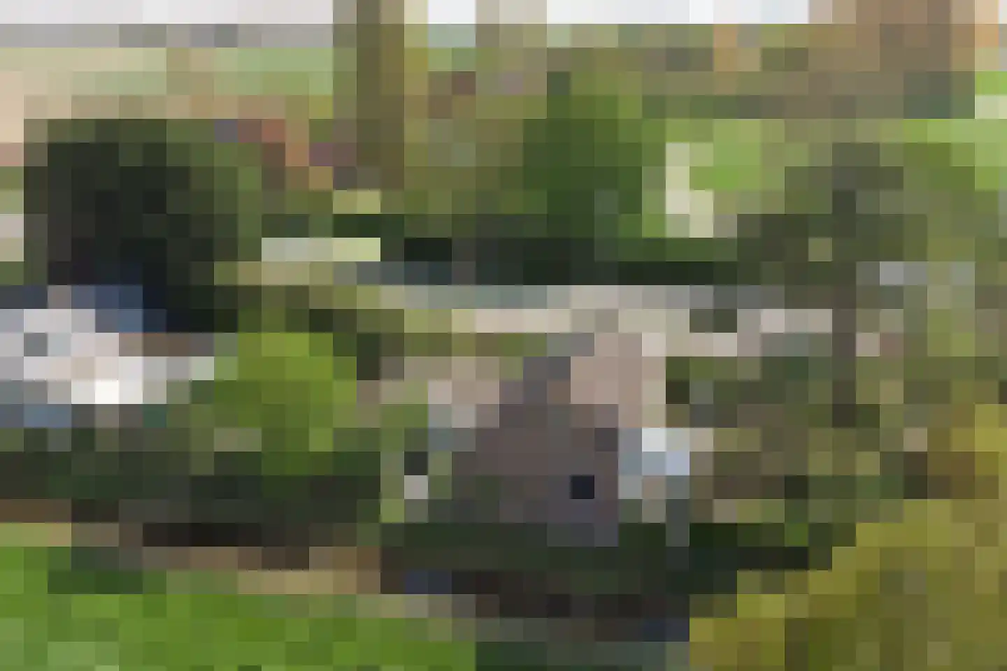 Kaaidijk 1 Wolphaartsdijk thumbnail 31