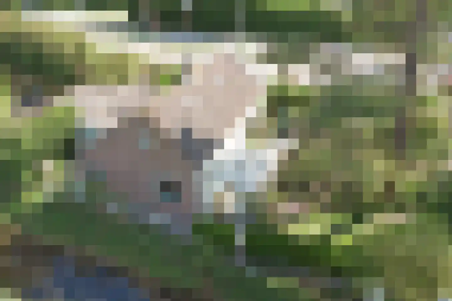Kaaidijk 1 Wolphaartsdijk thumbnail 34