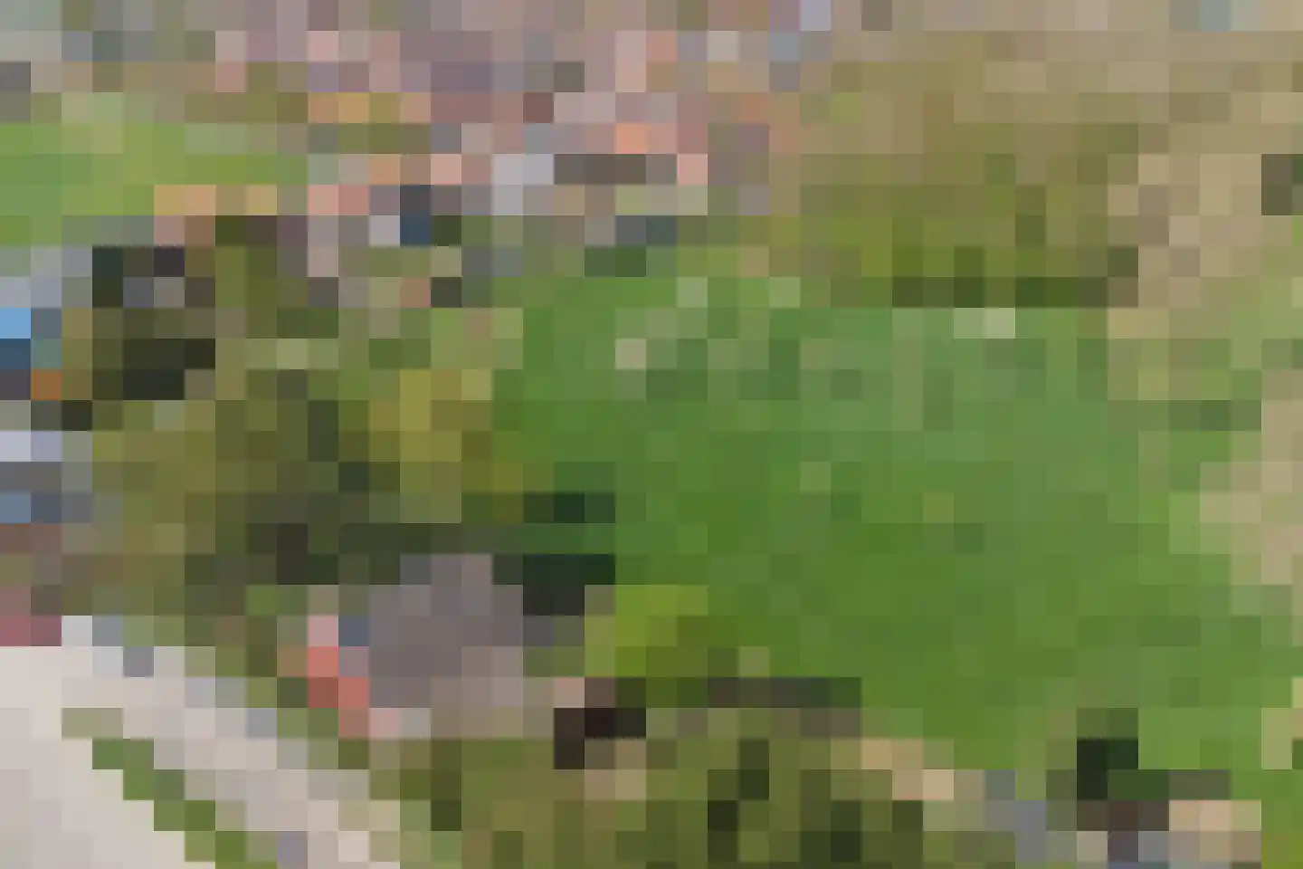 Kaaidijk 1 Wolphaartsdijk thumbnail 35