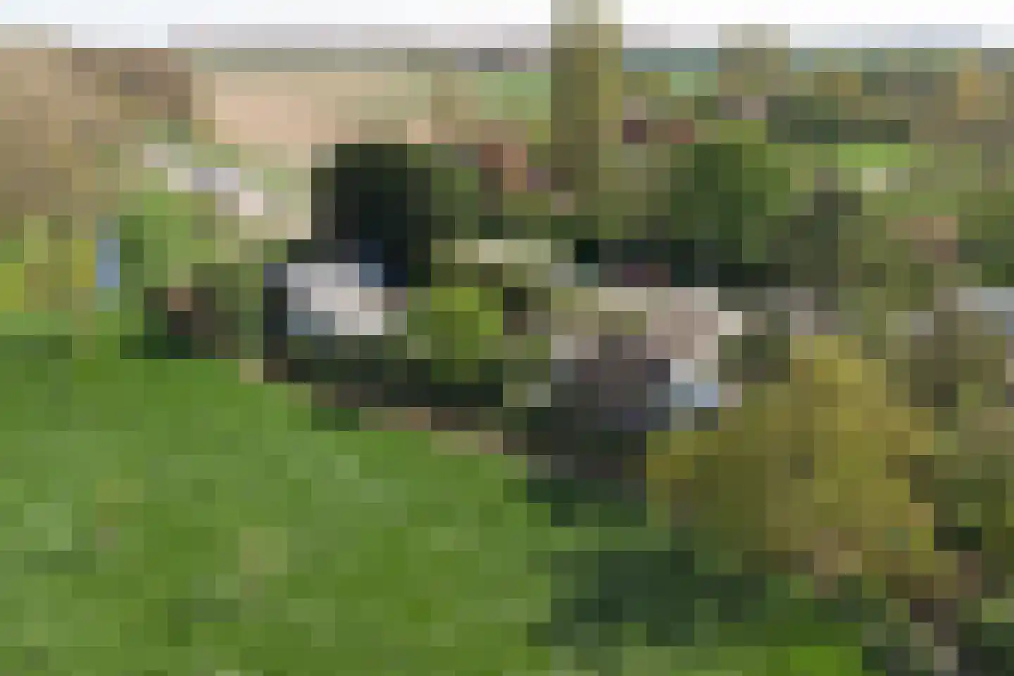 Kaaidijk 1 Wolphaartsdijk thumbnail 36
