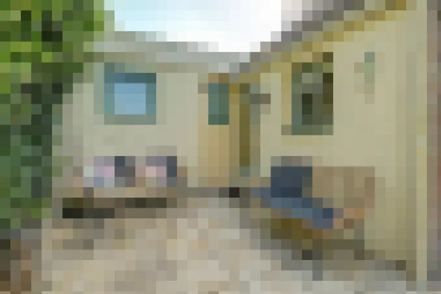 Kaaidijk 1 Wolphaartsdijk thumbnail 7