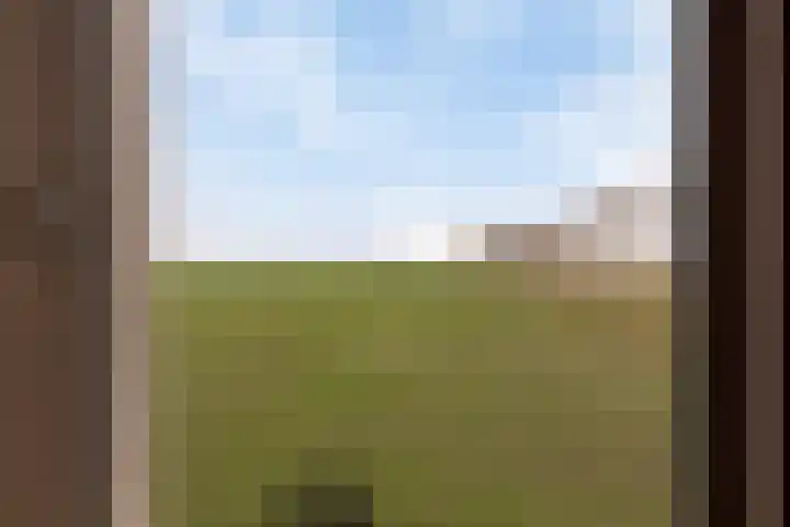 Kaaidijk 11 Wolphaartsdijk thumbnail 34