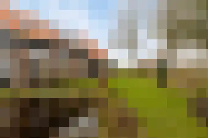 Kaaidijk 11 Wolphaartsdijk thumbnail 35