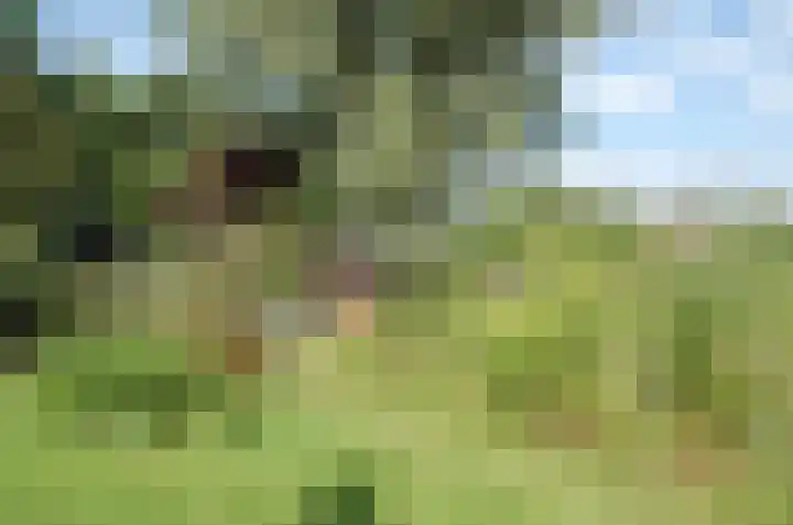 Kaaidijk 11 Wolphaartsdijk thumbnail 36