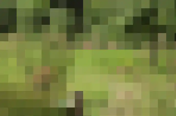 Kaaidijk 11 Wolphaartsdijk thumbnail 38