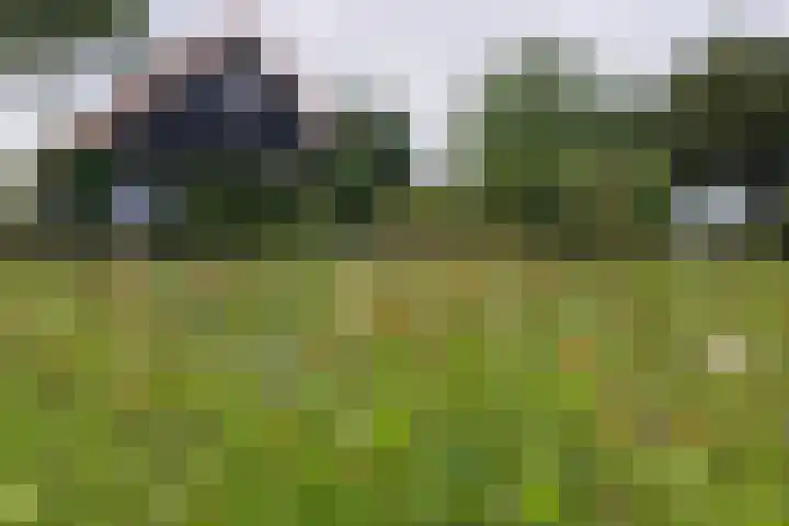 Kaaidijk 11 Wolphaartsdijk thumbnail 44