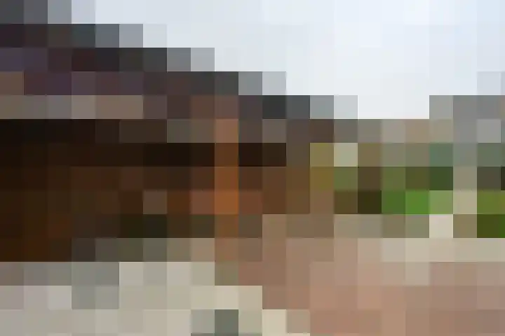 Kaaidijk 2 Herkingen thumbnail 13