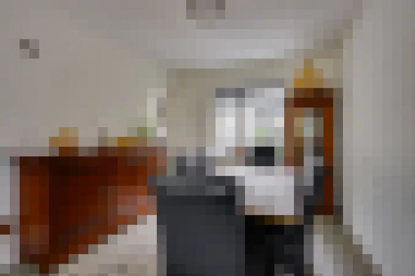 Kaaidijk 2 Herkingen thumbnail 19
