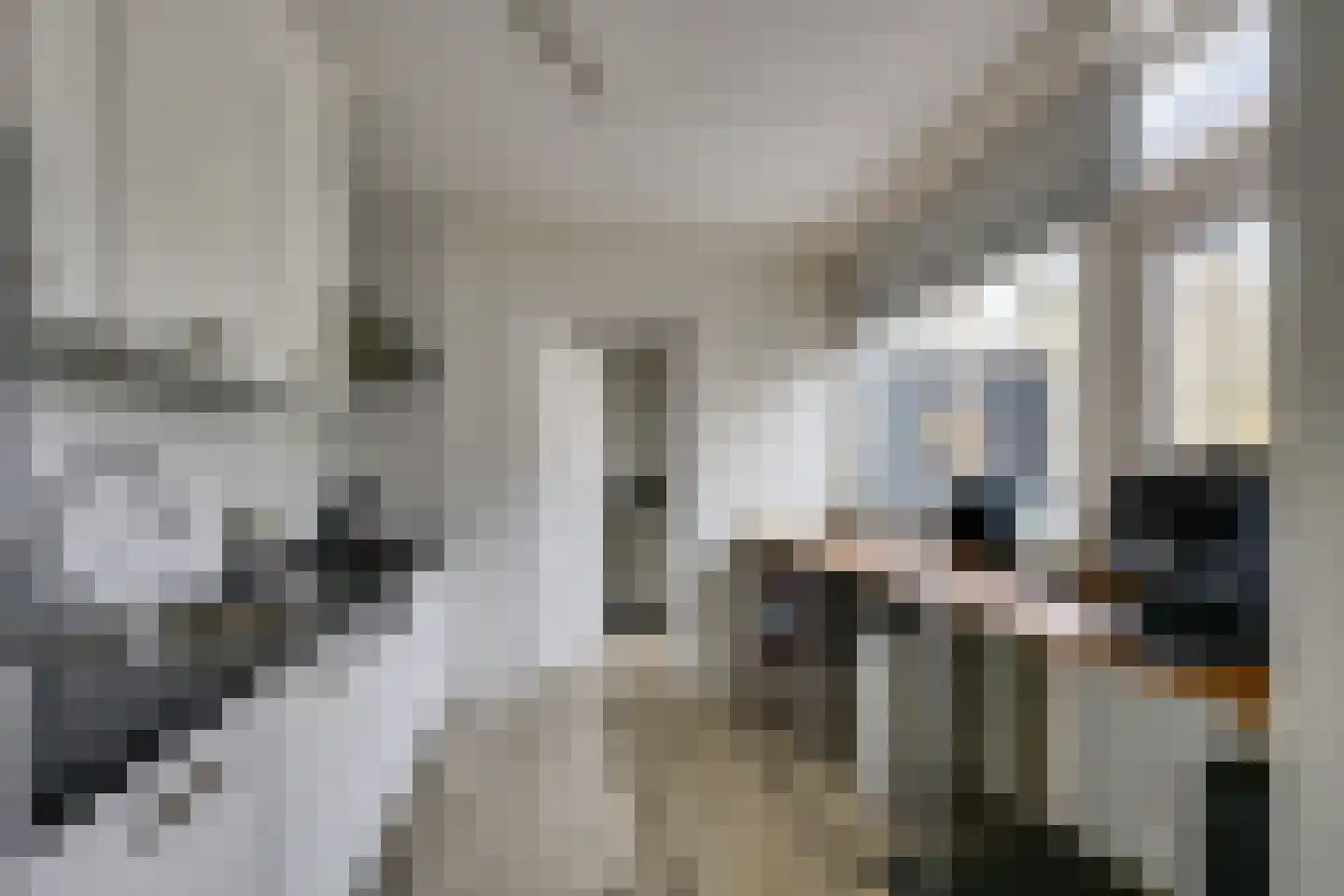 Kaaidijk 2 Herkingen thumbnail 21