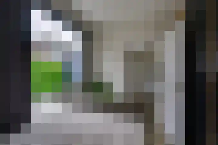 Kaaidijk 2 Herkingen thumbnail 24