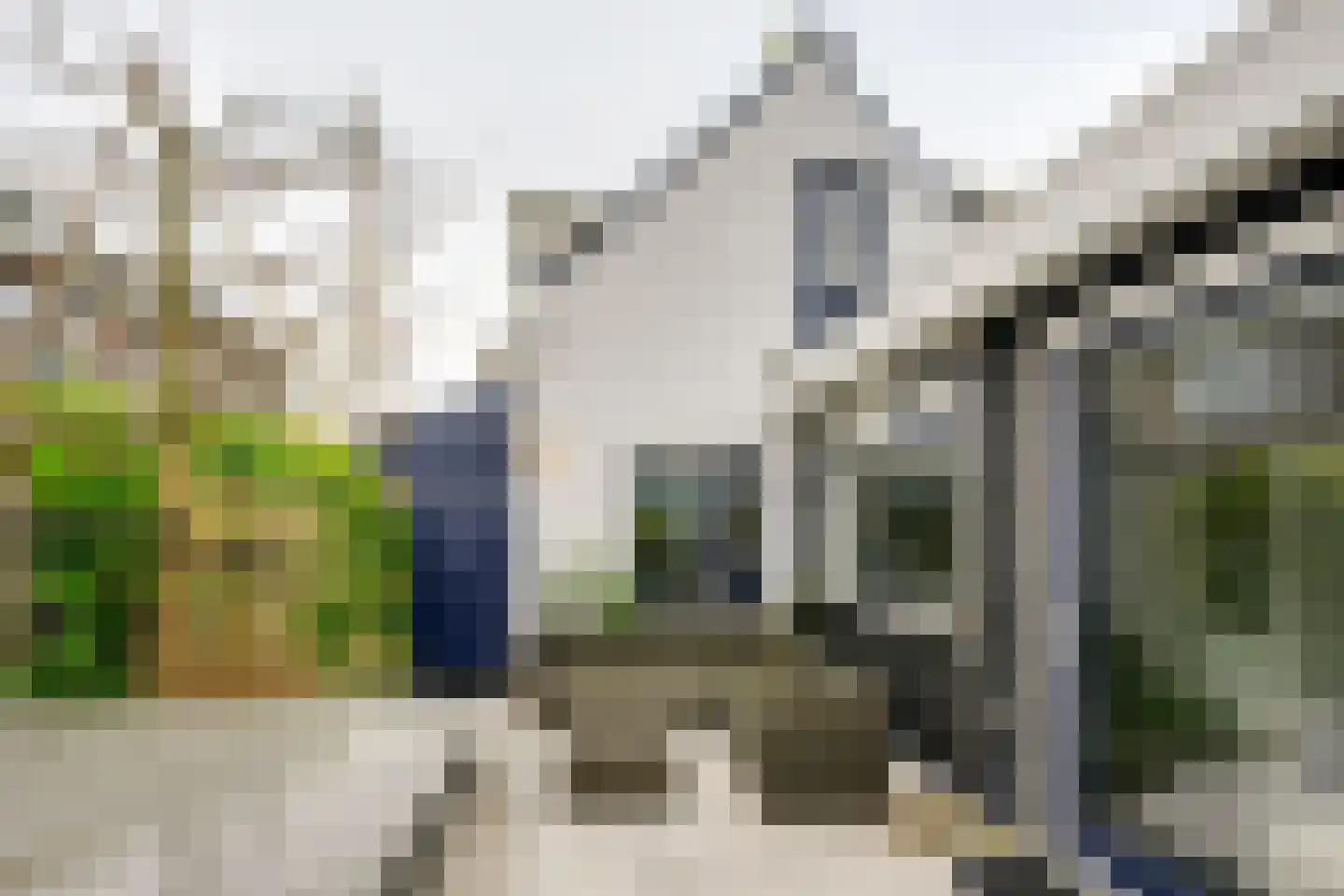 Kaaidijk 2 Herkingen thumbnail 27