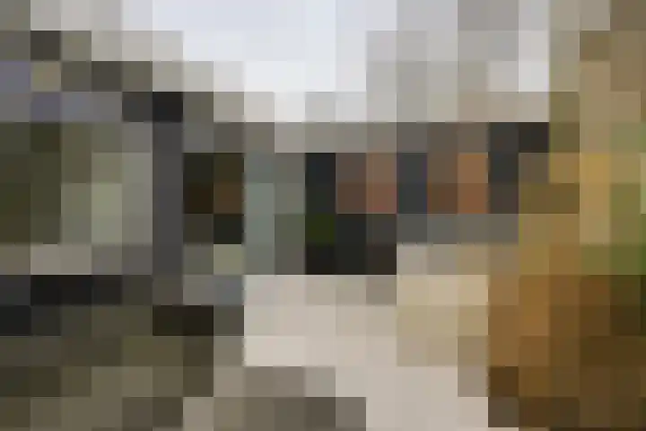 Kaaidijk 2 Herkingen thumbnail 28