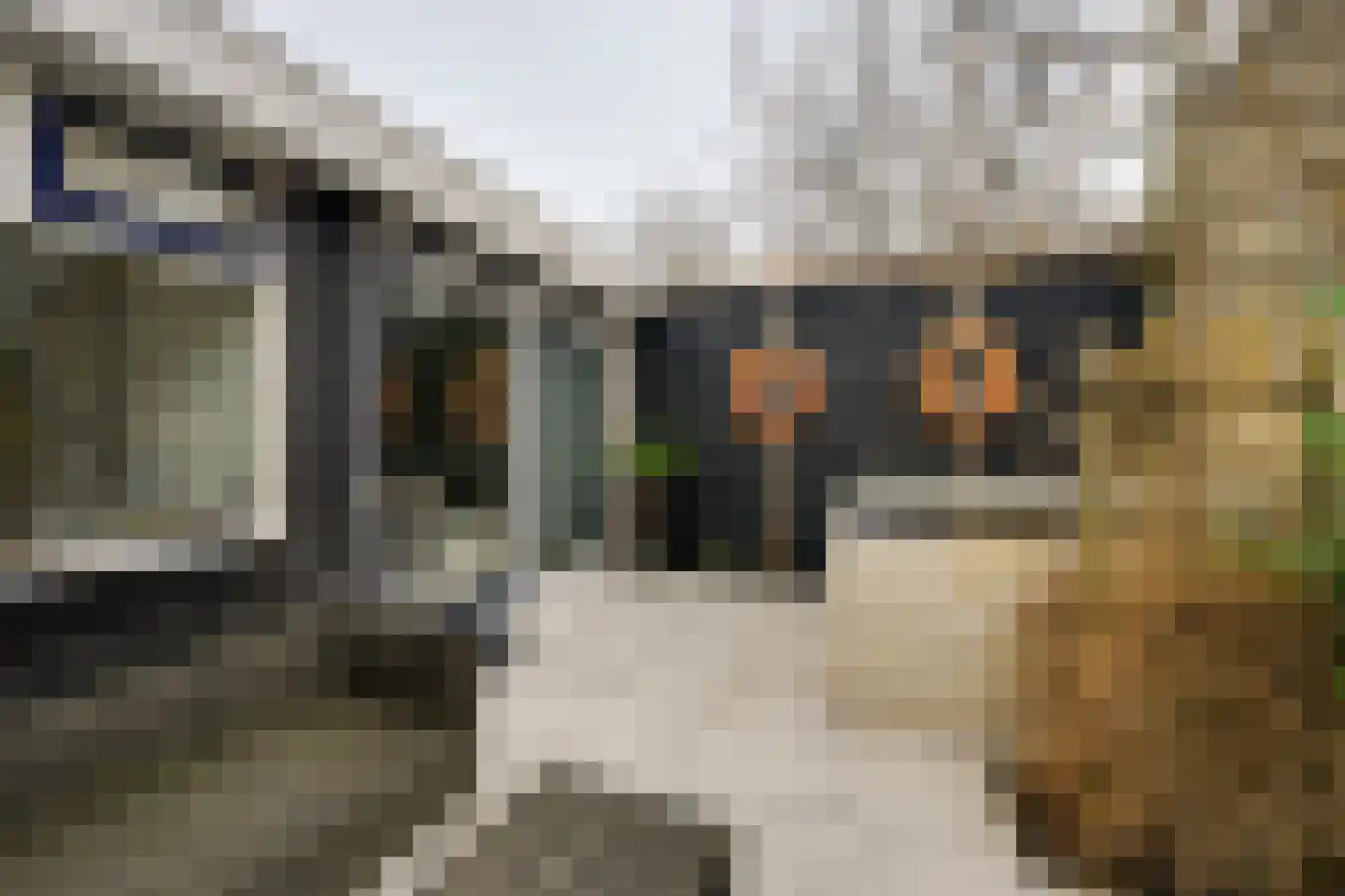 Kaaidijk 2 Herkingen thumbnail 30