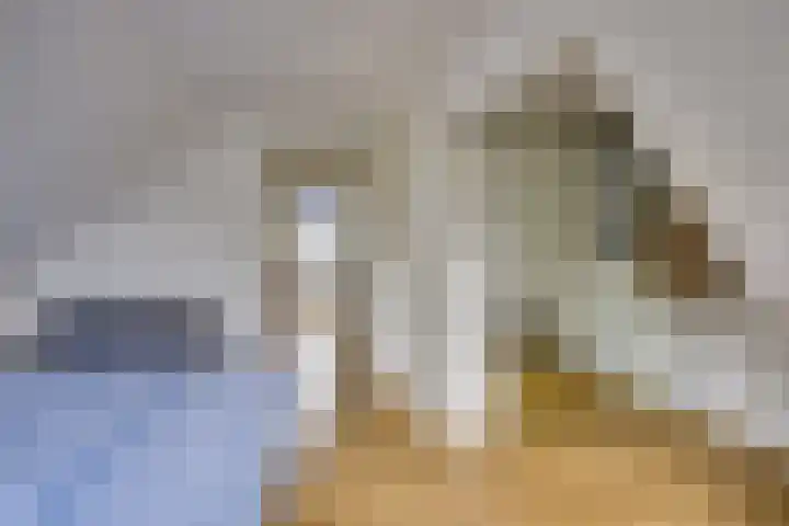 Kaaidijk 2 Herkingen thumbnail 34