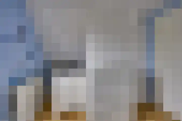 Kaaidijk 2 Herkingen thumbnail 36