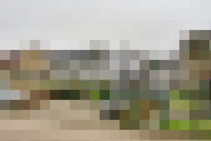 Kaaidijk 2 Herkingen thumbnail 7