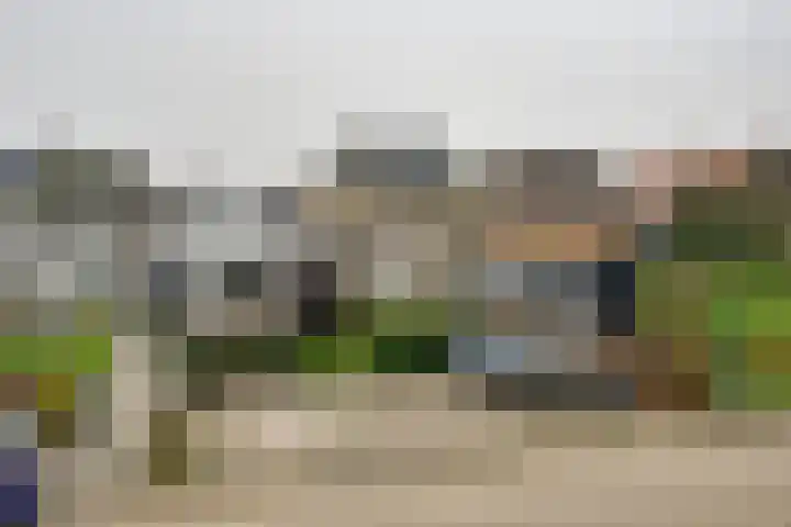 Kaaidijk 2 Herkingen thumbnail 8