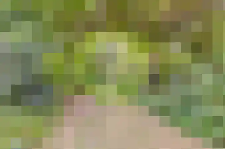 Kaaidijk 3 Wolphaartsdijk thumbnail 18