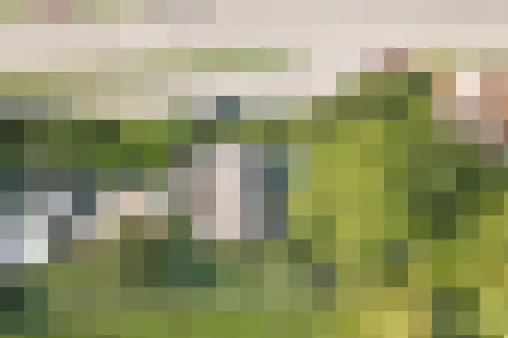 Kaaidijk 3 Wolphaartsdijk thumbnail 21