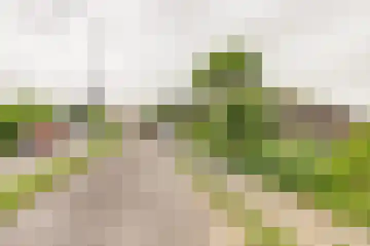 Kaaidijk 3 Wolphaartsdijk thumbnail 24
