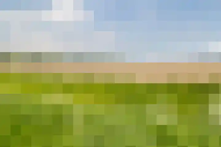 Kaaidijk 3 Wolphaartsdijk thumbnail 28